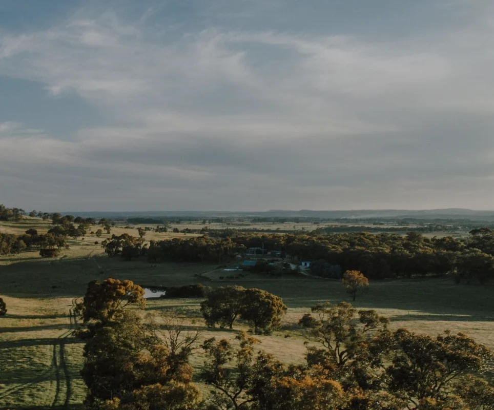 Australian rural block at dusk, gum trees and open paddocks running out to a distant ridge with farm sheds in the middle distance